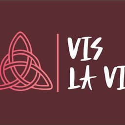 Vis La Vie Group
