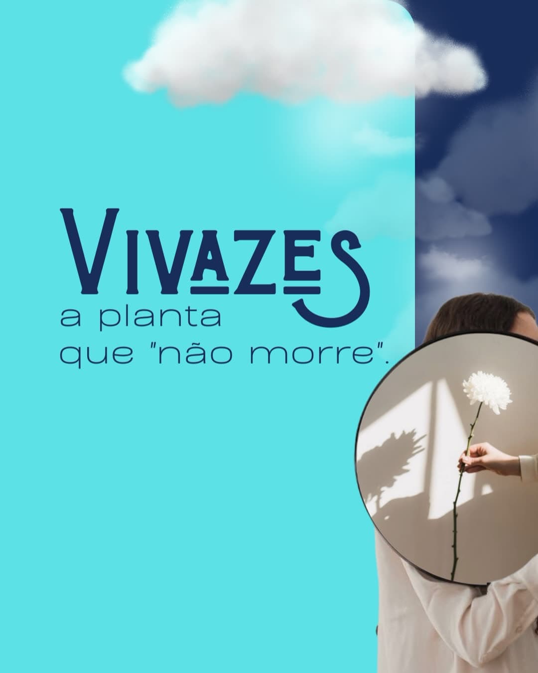 Carrossel da Vivaz Estratégia apresentando o conceito das plantas vivazes, com nuvens sobre fundo turquesa